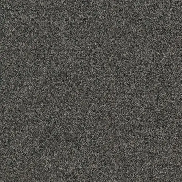 Cosy-Gloss Dekor 561