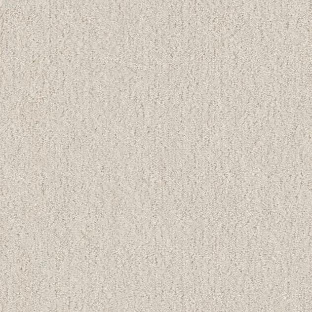 Cotone-Touch Dekor 811