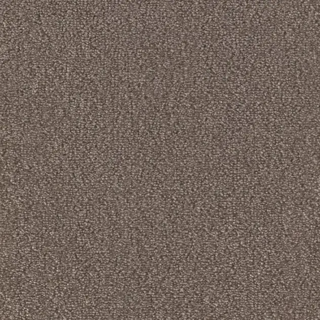 Cosy-Gloss Dekor 861